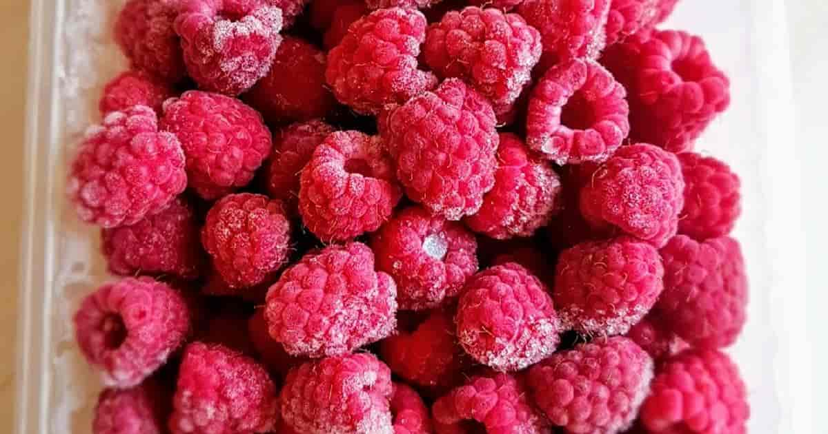 میوه خشک مخلوط ترش با ترکیب میوه‌ های فصلی تازه